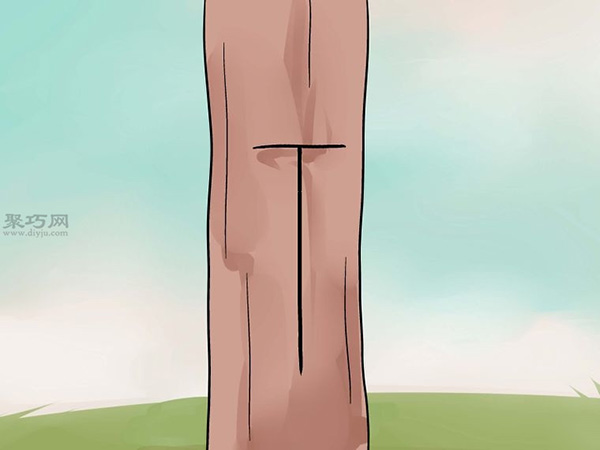 怎么样T型芽嫁接树 嫁接树图片教程(图3)