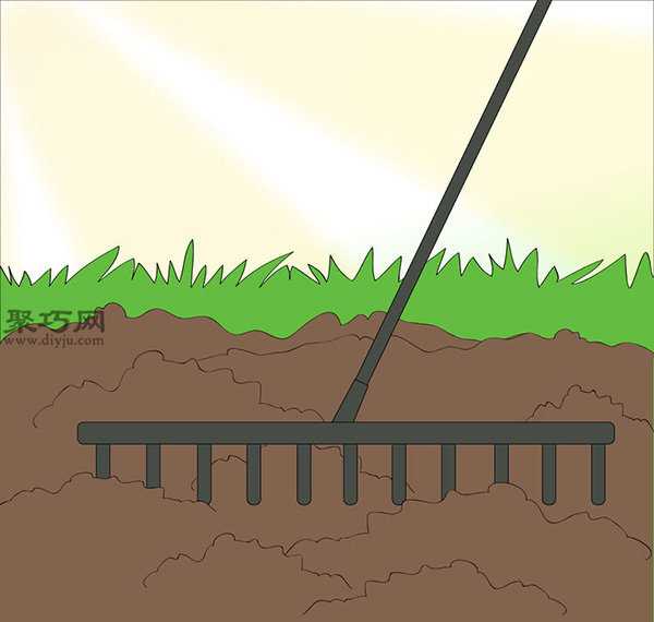 家庭阳台种洋葱的方法 洋葱种植的注意事项(图5)