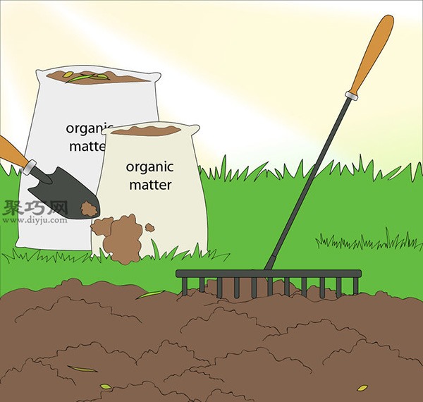 家庭阳台种洋葱的方法 洋葱种植的注意事项(图3)