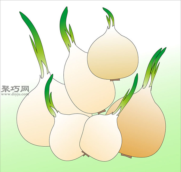 家庭阳台种洋葱的方法 洋葱种植的注意事项(图6)