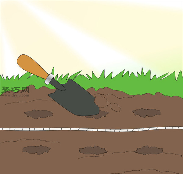 家庭阳台种洋葱的方法 洋葱种植的注意事项(图7)