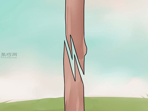 怎样用枝接法嫁接树 教你嫁接树步骤(图4)