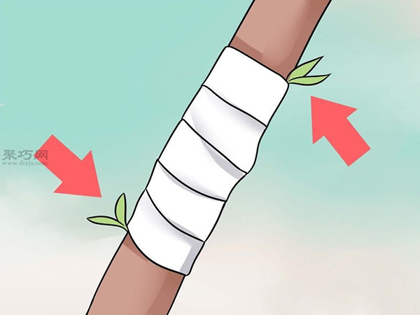 怎样用枝接法嫁接树 教你嫁接树步骤(图7)