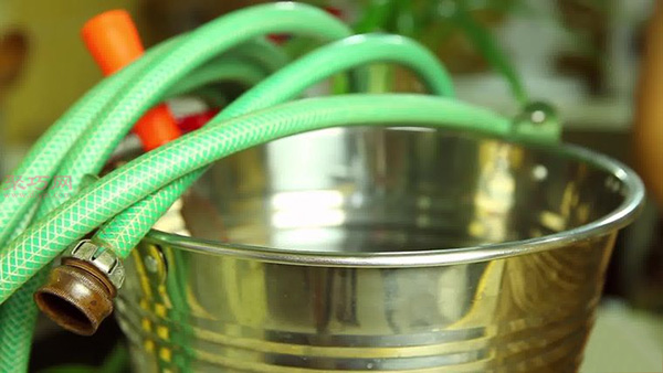 储存土豆方法 土豆怎么保存不发芽(图6)