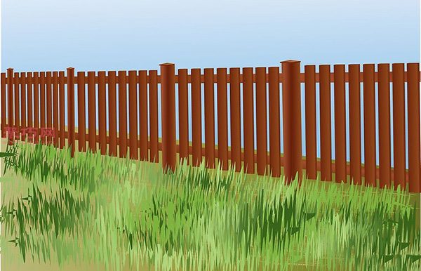 香蕉种植技术 教你家里怎么种植香蕉 - 功圣花卉