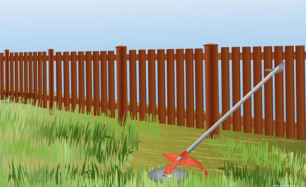 香蕉种植技术 教你家里怎么种植香蕉(图2)