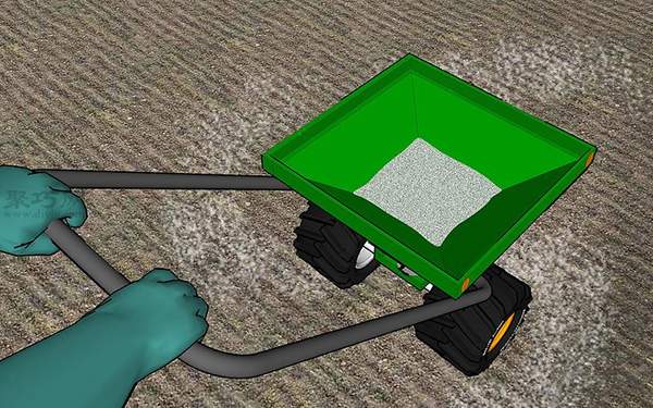 草坪种植与养护管理方法 草坪籽怎么种出漂亮的草坪(图5)