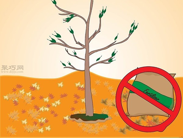 如何种植一棵树成活率高 种活一棵树步骤(图8)