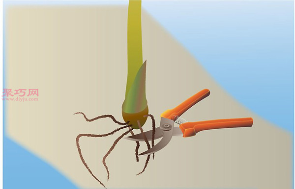 香蕉种植技术 教你家里怎么种植香蕉(图4)