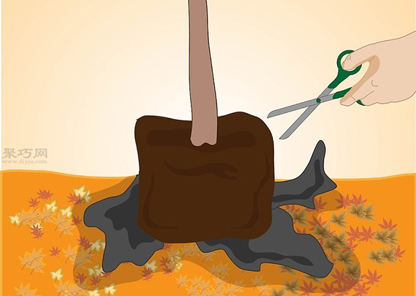 如何种植一棵树成活率高 种活一棵树步骤(图5)