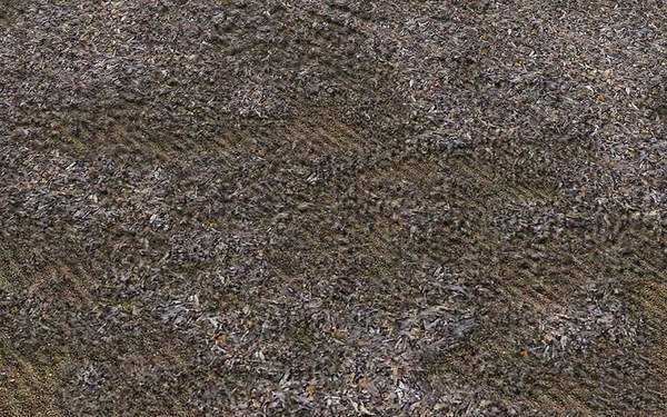 草坪种植与养护管理方法 草坪籽怎么种出漂亮的草坪(图10)