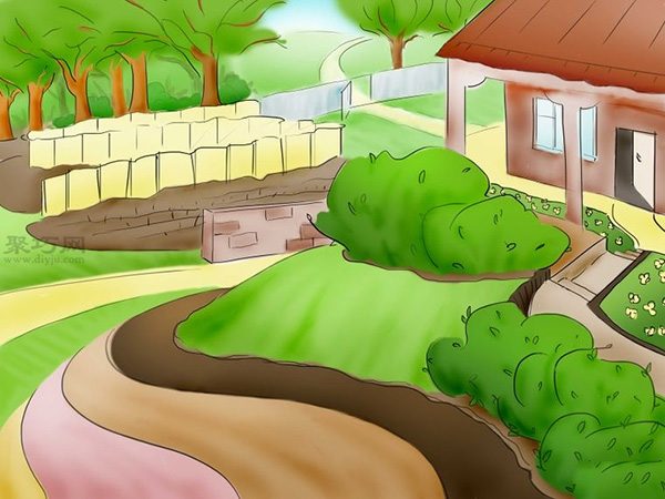 用种子种植番茄步骤 怎么样用种子种植番茄 - 功圣花卉