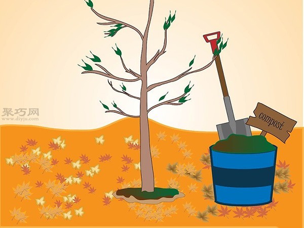 如何种植一棵树成活率高 种活一棵树步骤(图7)