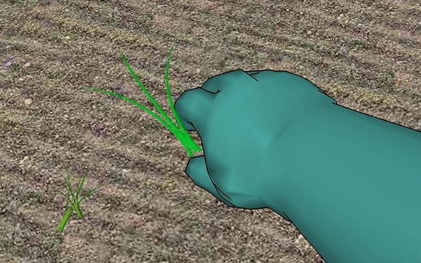 草坪种植与养护管理方法 草坪籽怎么种出漂亮的草坪(图4)