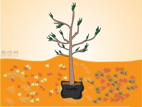 如何种植一棵树成活率高 种活一棵树步骤 - 功圣花卉