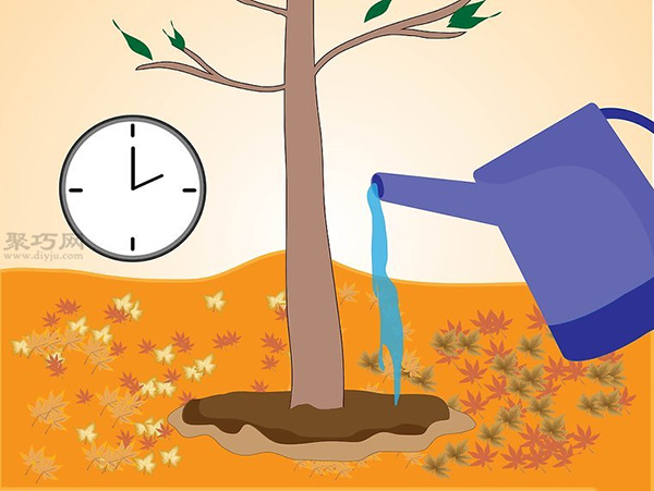 如何种植一棵树成活率高 种活一棵树步骤(图12)