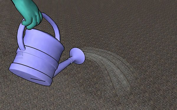 草坪种植与养护管理方法 草坪籽怎么种出漂亮的草坪(图12)