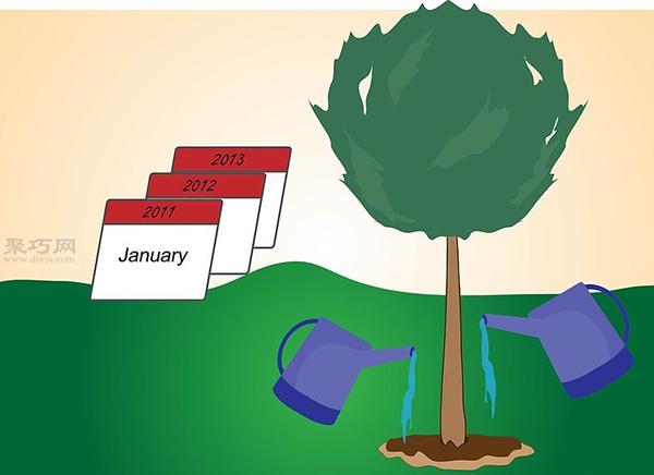 如何种植一棵树成活率高 种活一棵树步骤(图14)