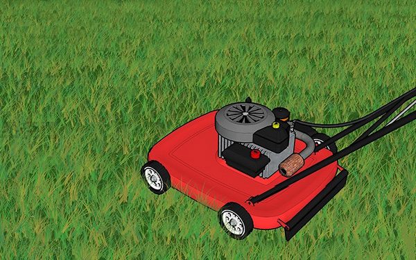 草坪种植与养护管理方法 草坪籽怎么种出漂亮的草坪(图13)