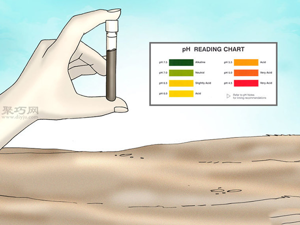 栽种杜鹃花教程图解 怎样栽种杜鹃花(图4)