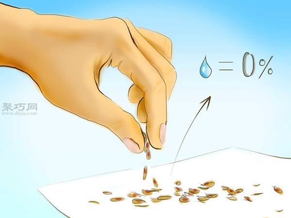 用种子种植番茄步骤 怎么样用种子种植番茄(图12)