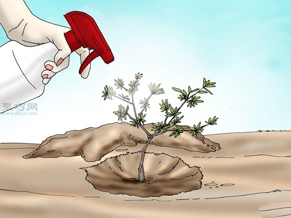 栽种杜鹃花教程图解 怎样栽种杜鹃花(图6)