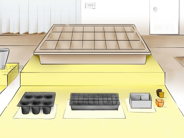 用种子种植番茄步骤 怎么样用种子种植番茄(图16)
