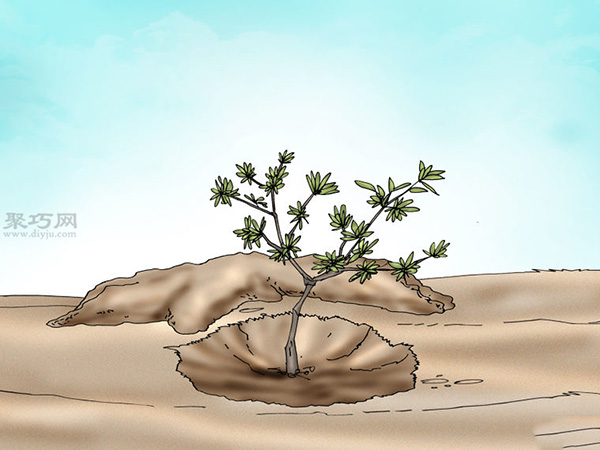 栽种杜鹃花教程图解 怎样栽种杜鹃花(图5)