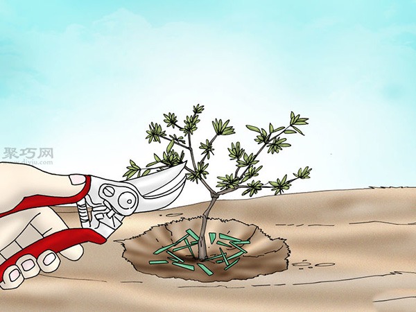 栽种杜鹃花教程图解 怎样栽种杜鹃花(图9)