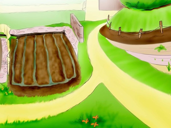 用种子种植番茄步骤 怎么样用种子种植番茄(图24)