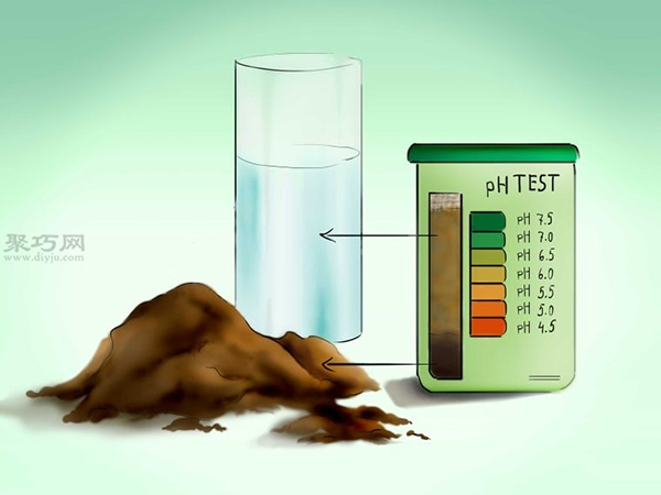 用种子种植番茄步骤 怎么样用种子种植番茄(图25)