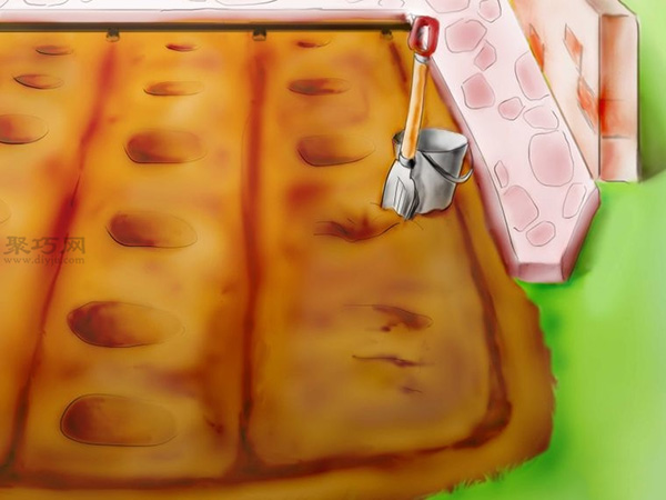 用种子种植番茄步骤 怎么样用种子种植番茄(图26)