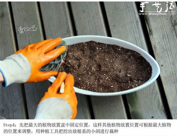 多肉植物手工盆栽DIY(图6)