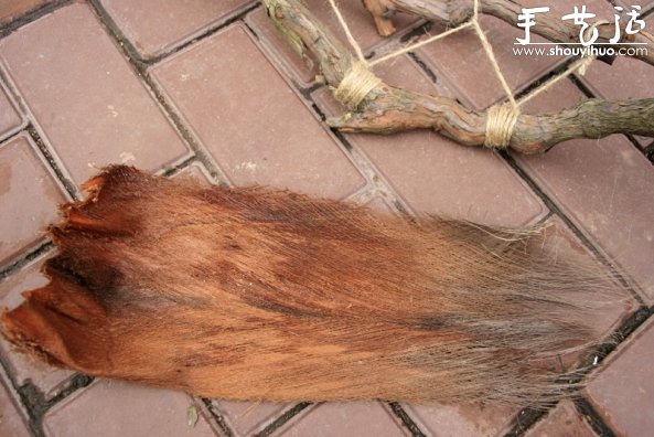 葡萄老根DIY多肉植物盆栽的教程(图6) 葡萄老根DIY多肉植物盆栽的教程(图6)