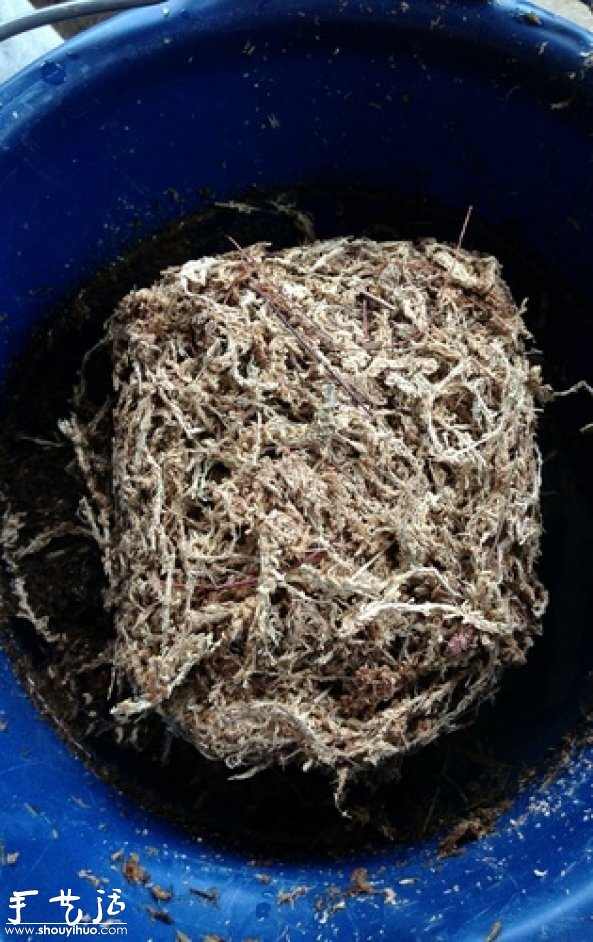 DIY多种多肉植物混搭的盆栽(图3) DIY多种多肉植物混搭的盆栽(图3)