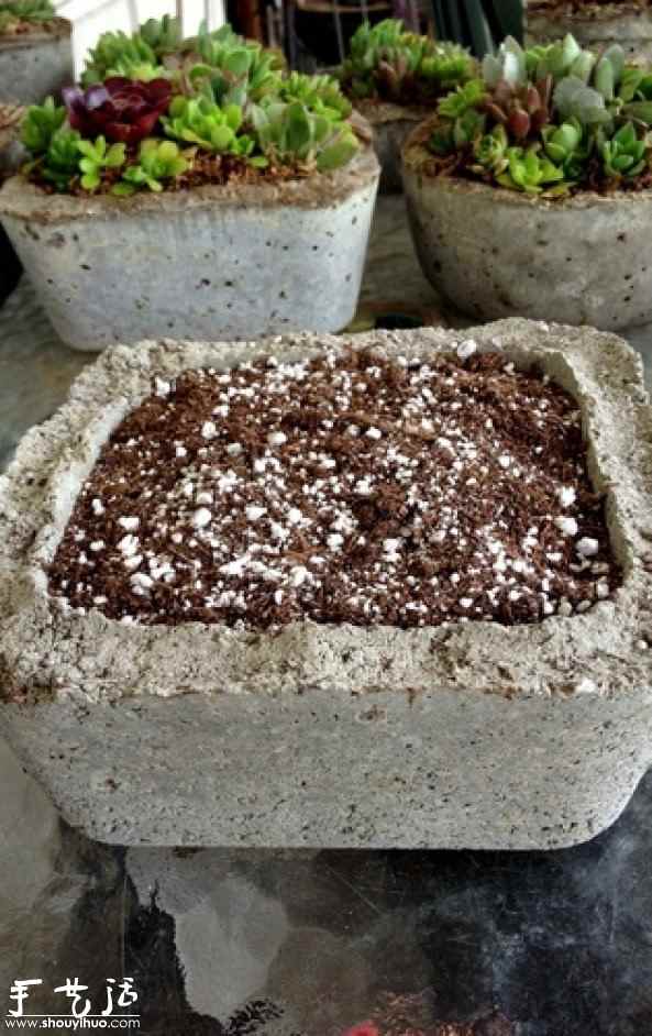 DIY多种多肉植物混搭的盆栽(图2) DIY多种多肉植物混搭的盆栽(图2)
