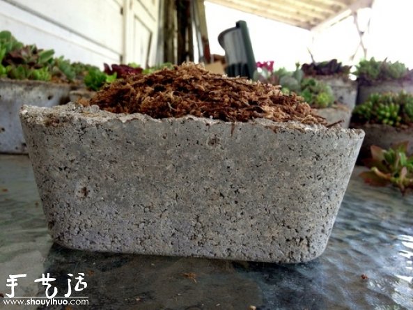 DIY多种多肉植物混搭的盆栽(图8) DIY多种多肉植物混搭的盆栽(图8)