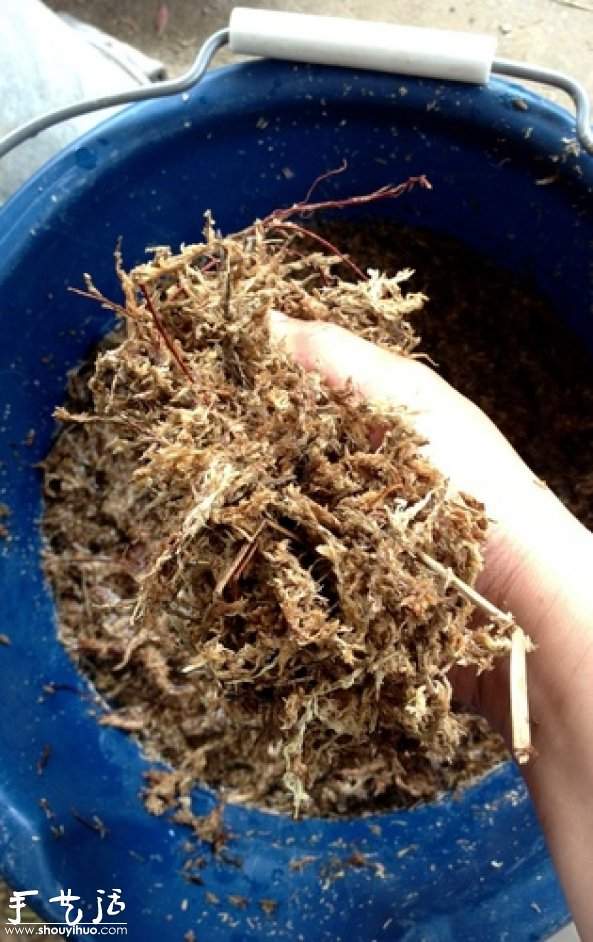 DIY多种多肉植物混搭的盆栽(图4) DIY多种多肉植物混搭的盆栽(图4)