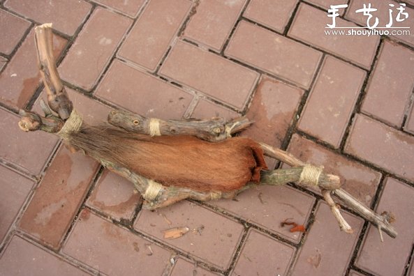 葡萄老根DIY多肉植物盆栽的教程(图7) 葡萄老根DIY多肉植物盆栽的教程(图7)