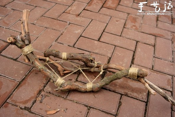 葡萄老根DIY多肉植物盆栽的教程(图5) 葡萄老根DIY多肉植物盆栽的教程(图5)