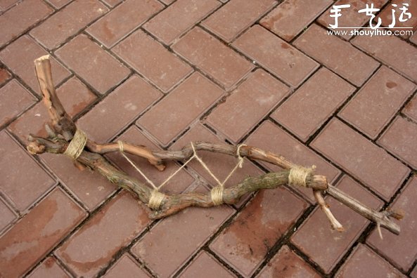 葡萄老根DIY多肉植物盆栽的教程(图4) 葡萄老根DIY多肉植物盆栽的教程(图4)