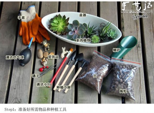 多肉植物手工盆栽DIY(图3)