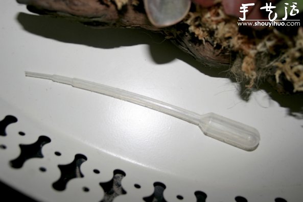 葡萄老根DIY多肉植物盆栽的教程(图15) 葡萄老根DIY多肉植物盆栽的教程(图15)