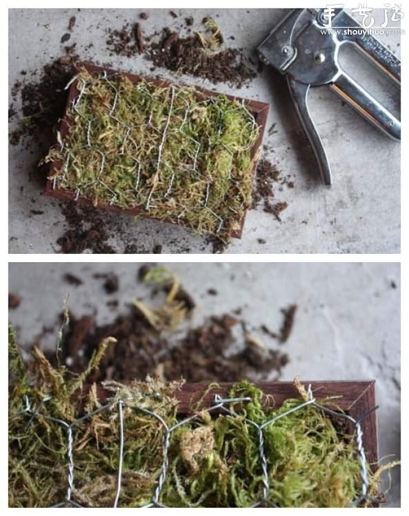 手工制作多肉植物画框的教程(图6) 手工制作多肉植物画框的教程(图6)