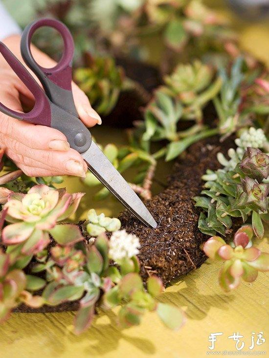 DIY漂亮多肉植物花环 装饰温馨家居生活(图5)