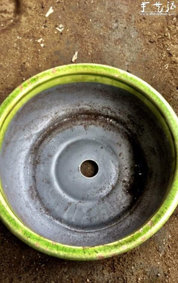 石莲花属多肉植物DIY睡莲盆栽(图2)