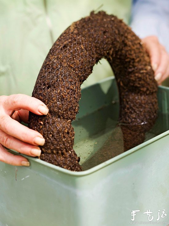 DIY漂亮多肉植物花环 装饰温馨家居生活(图4)