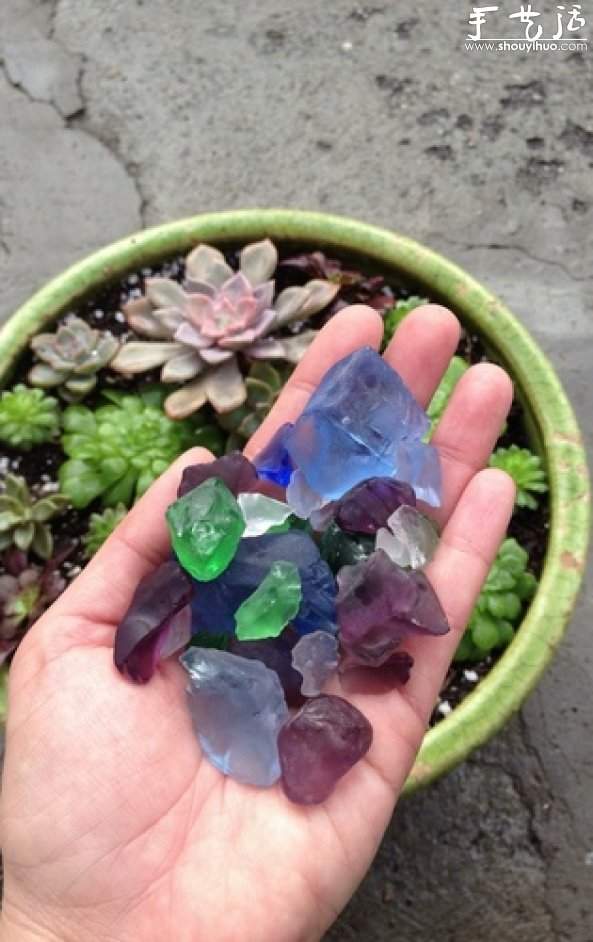 石莲花属多肉植物DIY睡莲盆栽(图7)