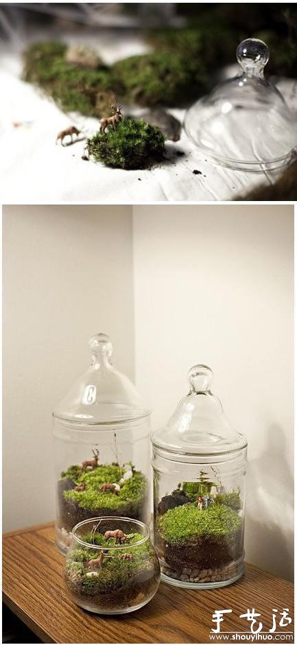 手工DIY苔藓盆景的教程(图5)