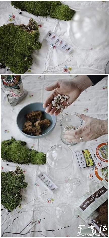 手工DIY苔藓盆景的教程(图3)